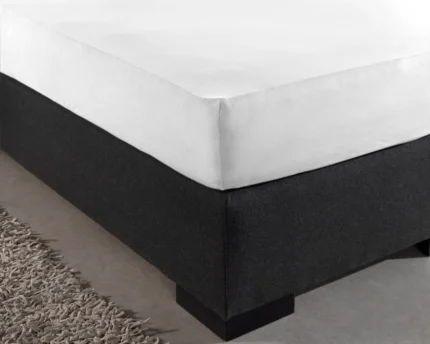 Single Jersey Fitted Sheet - White