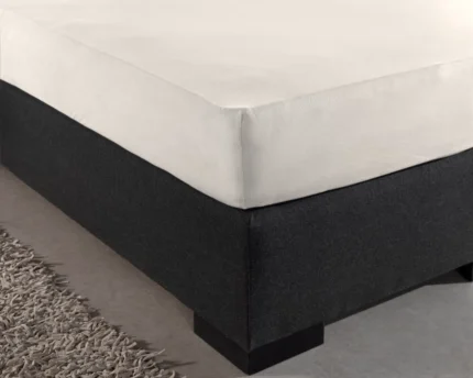 Single Jersey Fitted Sheet - Cream